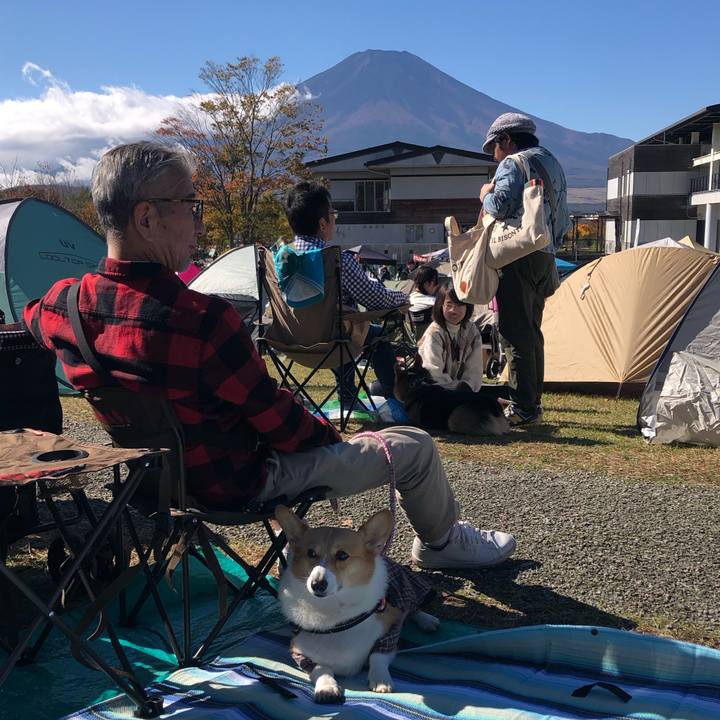 Cc495361 bd94 4374 bdc5 0212ea5572c3 1730600639391