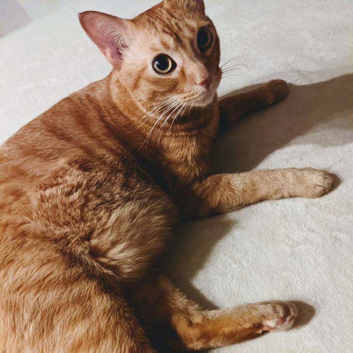 Cc495a0e a480 46ab a5d6 b2051f9459c0 1632563797329