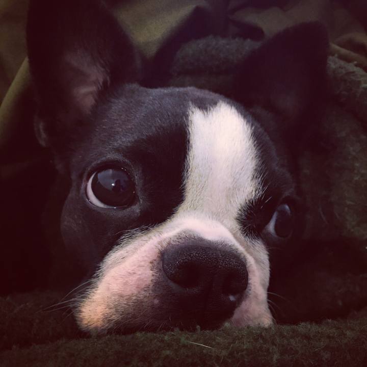 Cc49dd98 9bee 4cad b694 90533f6b459f 1511428070191