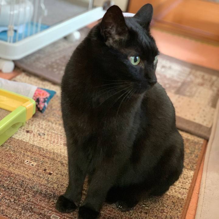 Cc49fcaa 2200 47fc bd19 50af1d168a03 1583890572364