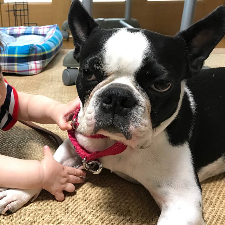 Cc4a0c3a 528c 4b10 b32e 1be5b55a42ff 1534200641976