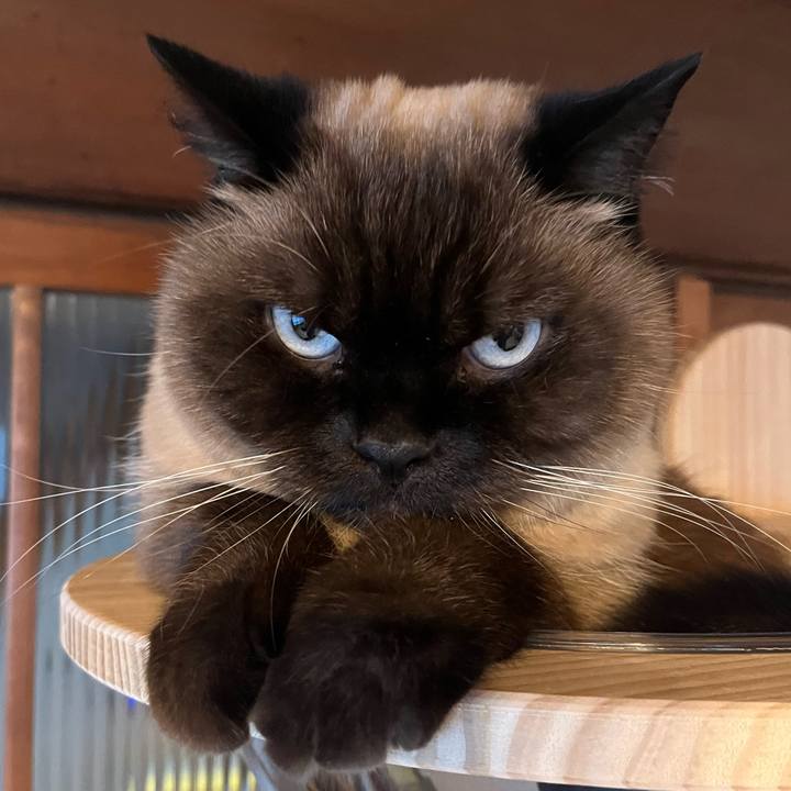 Cc4a2bc4 c6e5 4bbf adf3 751539cf7860 1701489509054