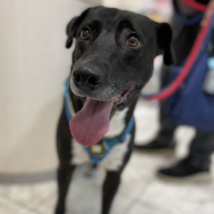 Cc4a3e42 c580 49d8 9f2b ac9694a1cf9f 1625306587123