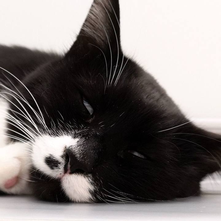 Cc4a7573 d066 4ecd 85f9 d9b359b78b64 1550855332123