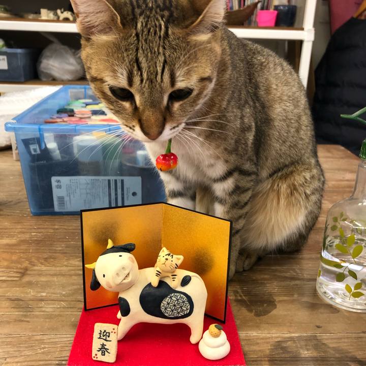 Cc4a7a65 8ec3 415f 8233 9432b84f6eaf 1608776216528