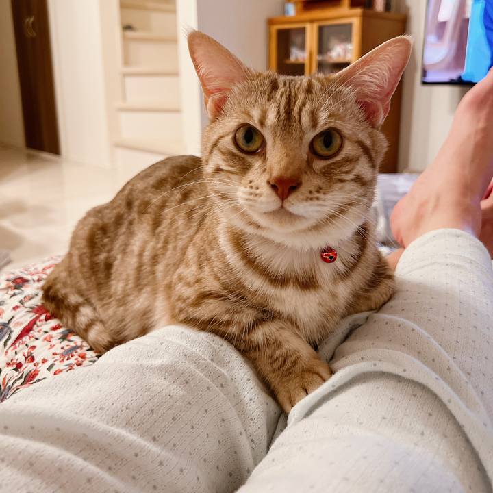 Cc4a9b54 6c02 499b a93b dc6d3f117133 1652880111593