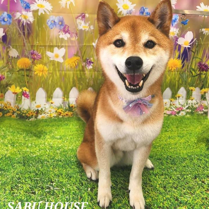 Cc4aaffd 1b7f 4a86 9fbb 55c780c53325 1718071432092