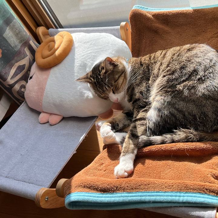 Cc4aeb5d c75c 43f6 9879 db8ae0ce93c5 1734003858444