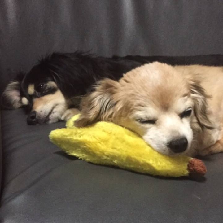 Cc4b1214 cf7a 4a1b 955e f20b6baeec58 1538965376480