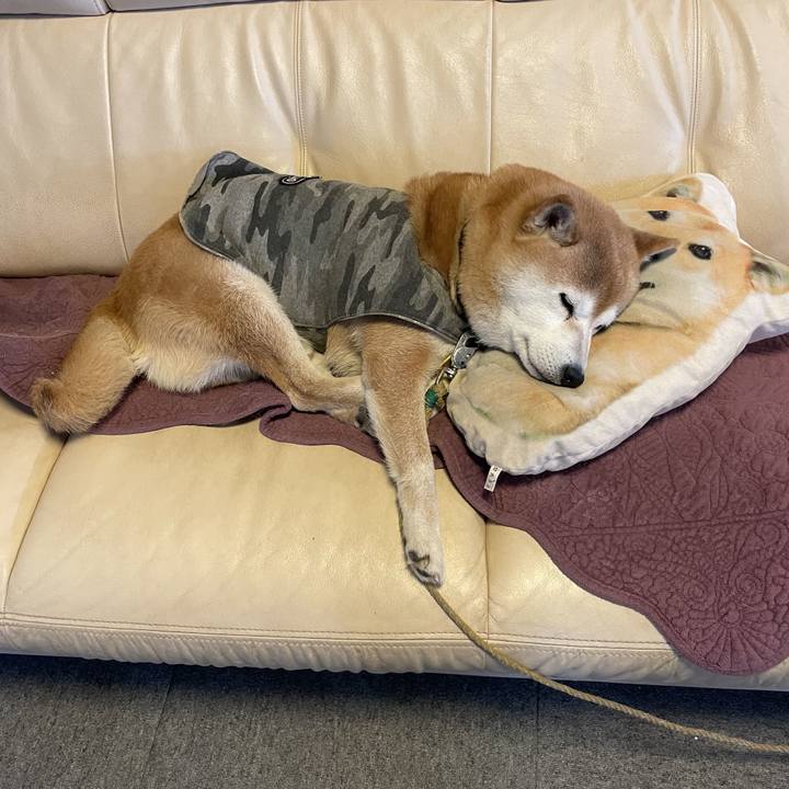 Cc4b4229 fe8b 49b3 868a c2c71d1d8e3c 1644548705555