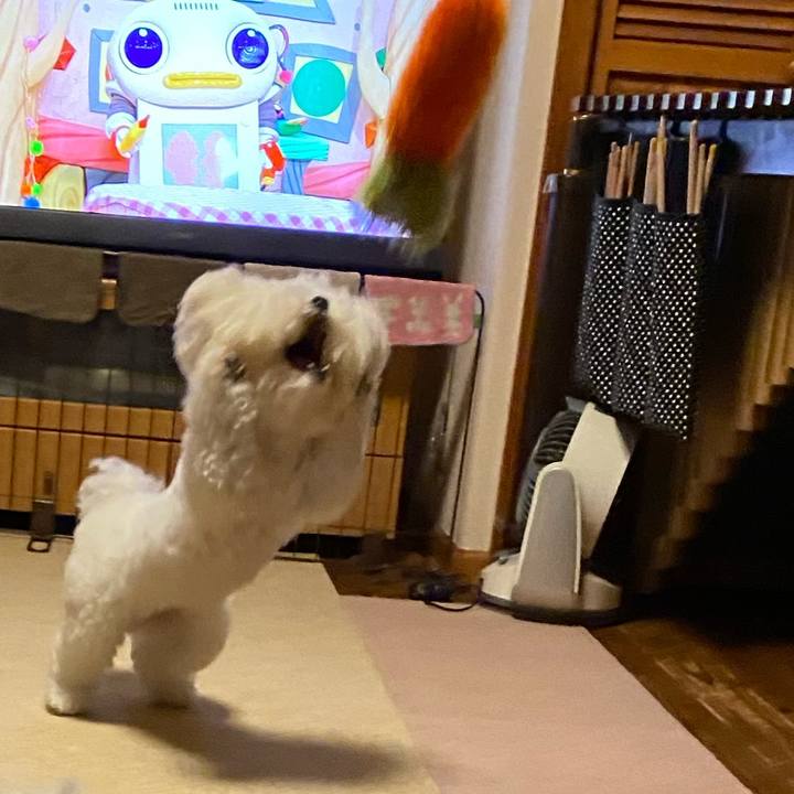 Cc4b45ad 985e 466e b552 8a65151aec17 1634628900975