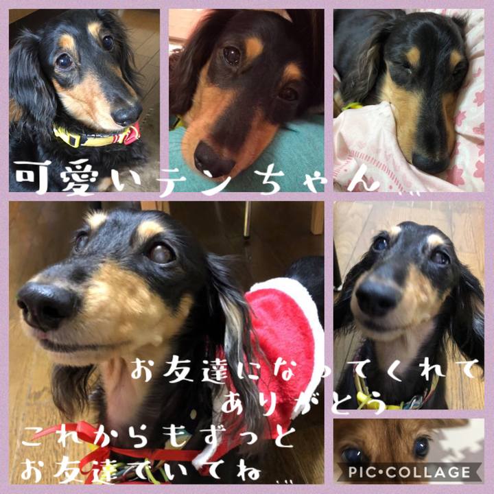 Cc4b48a0 7def 4159 a72c 20900872bdaf 1576143668277