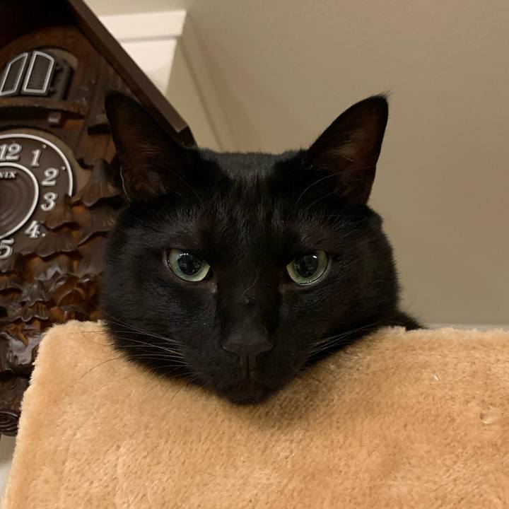 Cc4b5bf8 845b 4f4d 9b42 1d6c3084eed9 1607697245948