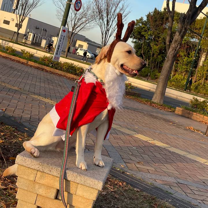 Cc4b6720 eea7 4847 9051 3a3648e1a0fb 1670814658576