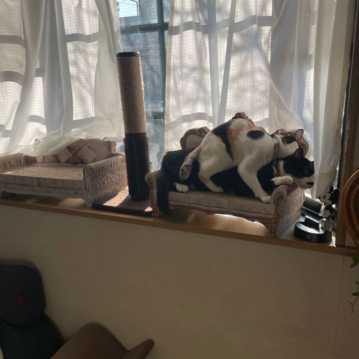 Cc4b68a6 ffd7 471f 857a e66803f19404 1676983019192