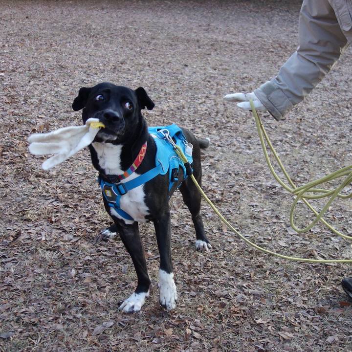 Cc4b6ffa e92f 46a6 a4f4 321e728a8525 1610758665131