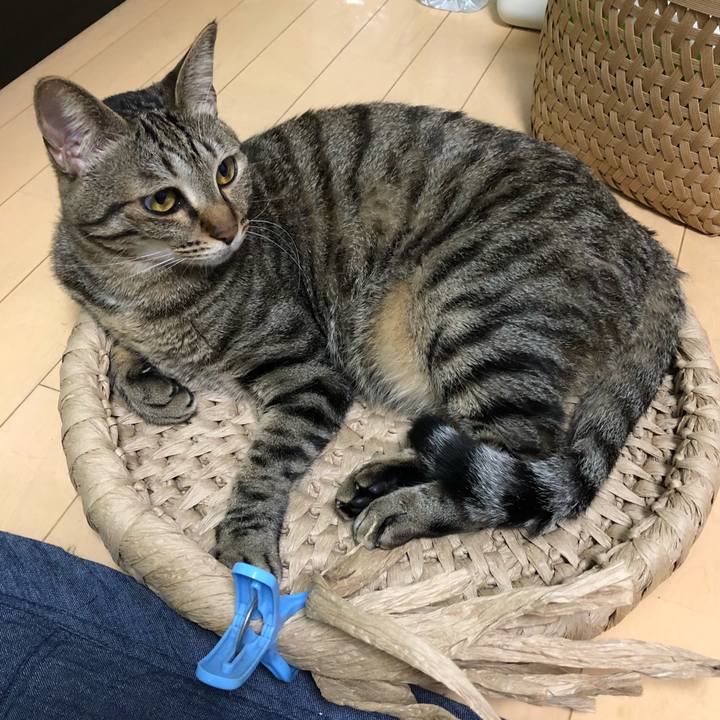 Cc4b82fb cea0 4d3c bdea 7f4fc118a2cc 1525809390635