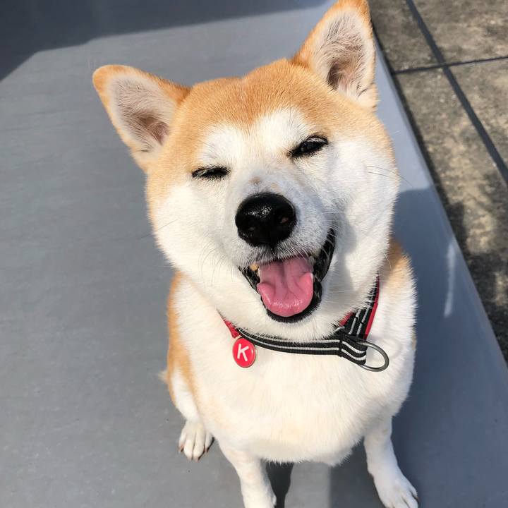 Cc4b916d 8e6c 4862 af36 5dbd4929fa90 1588033472952