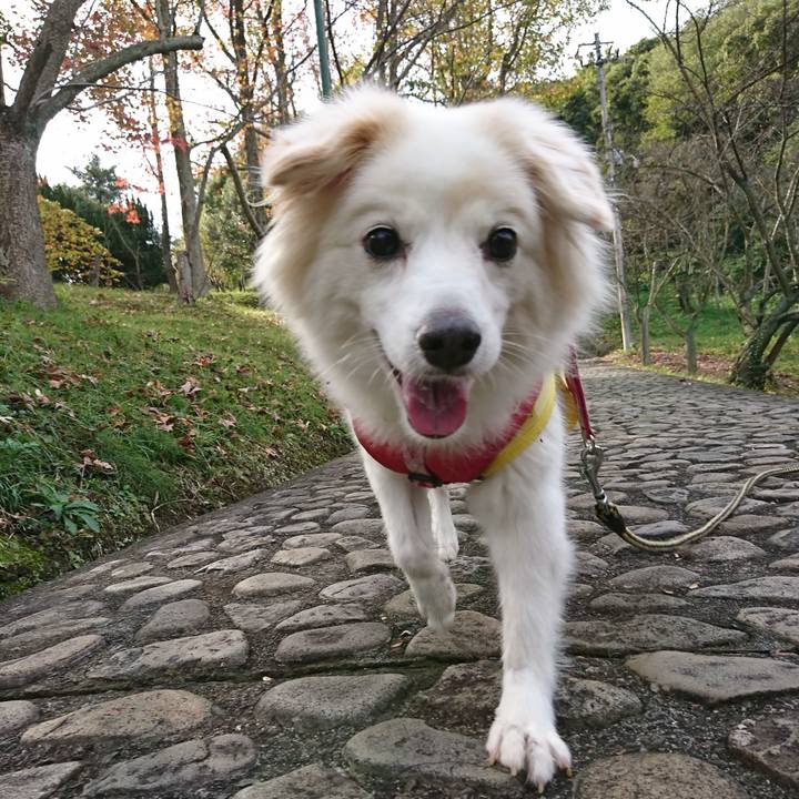 Cc4b9a91 8f73 444c bb30 564b7d1f9eea 1636939056961