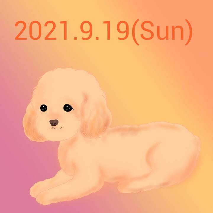 Cc4bab99 e57d 4b6d 85ed cf0dac3bbd57 1632053154971