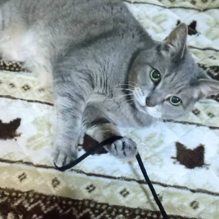 Cc4bac95 83a3 415f 9f1c 7380e85d93ea 1669154024280