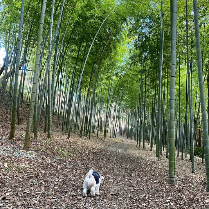 Cc4be824 04d0 483f 9371 42b8974a9b49 1580634371650