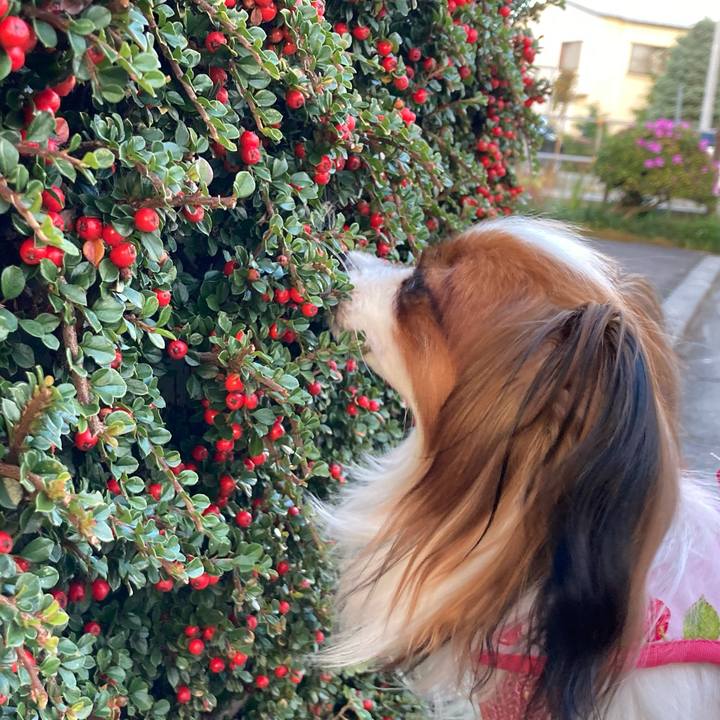 Cc4c2c36 3d30 42cf bb5d 1880dce01922 1634114649646