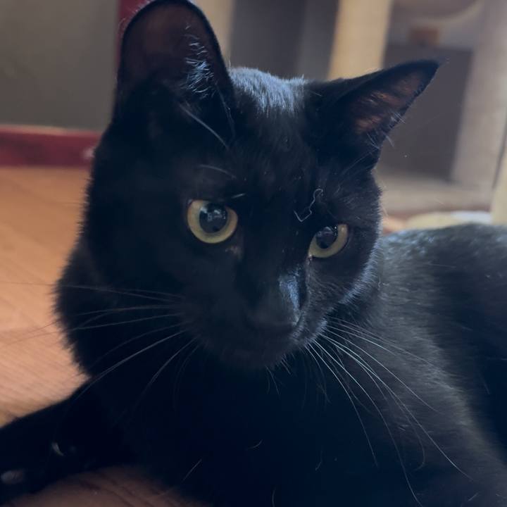 Cc4c3b31 78d5 4920 b31a 973a31accfd9 1755735675303