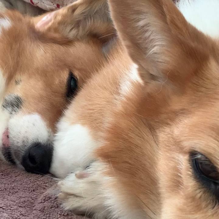 Cc4c3d6d feba 4c89 90f8 45b8f7958d1b 1673171868900