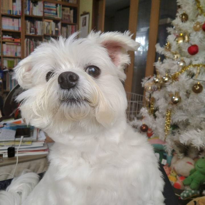 Cc4c80f5 5c76 4ca3 b6fb 64f08c16c0aa 1702723289156