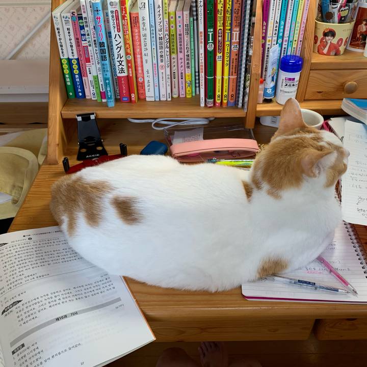 Cc4c8145 1396 4204 a8aa be703770f289 1633214457598