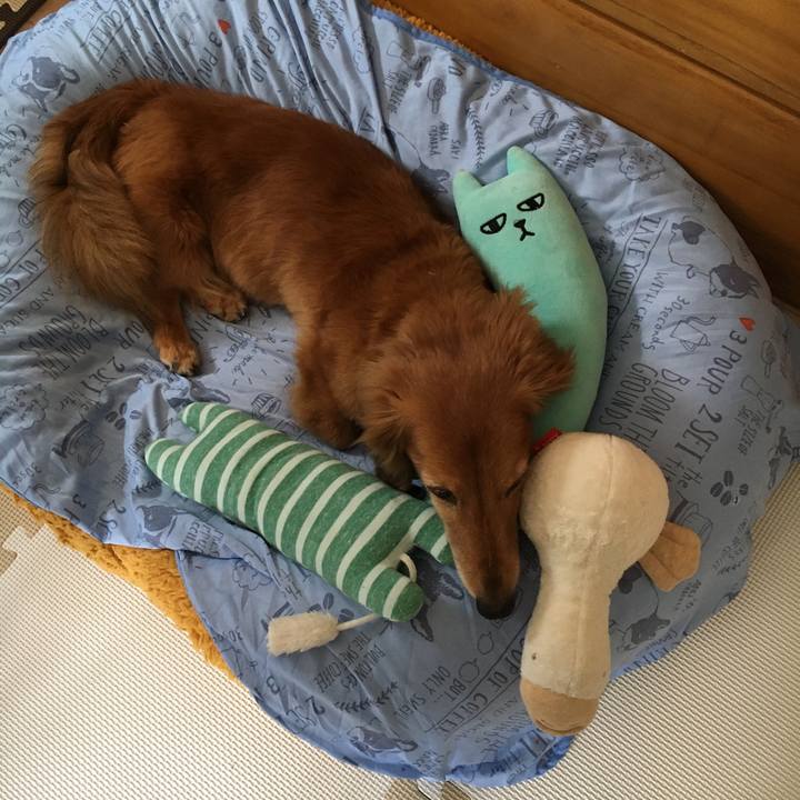 Cc4caca7 4168 4c39 9063 adf92cdbf763 1624971539649