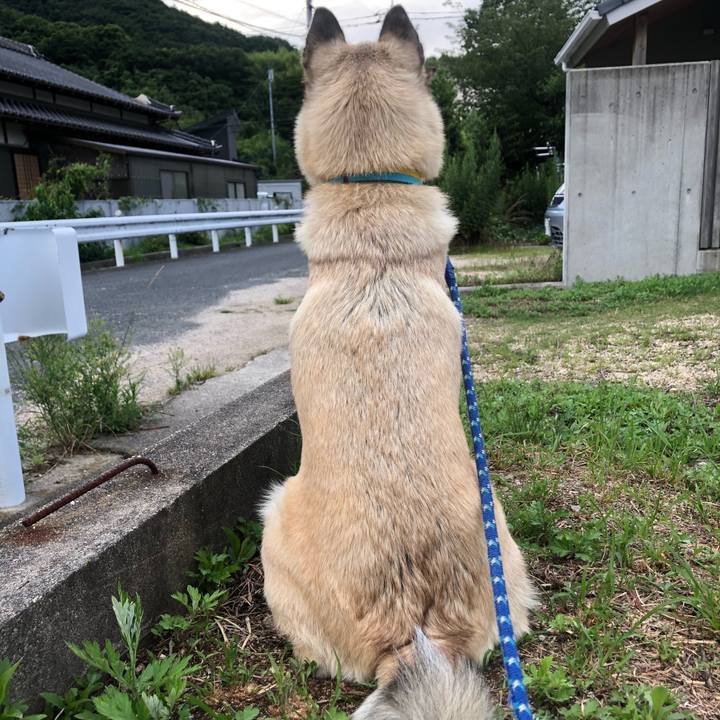 Cc4cb4d6 0b5d 4d44 8f54 6febcdec6834 1593604942115