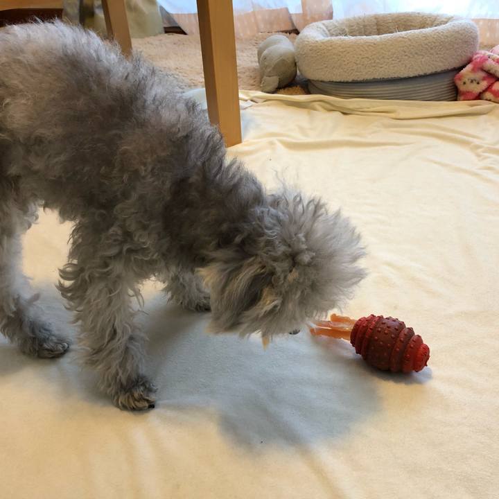 Cc4cba4b 1499 47d2 96fc c65bd06abfb7 1615767697356