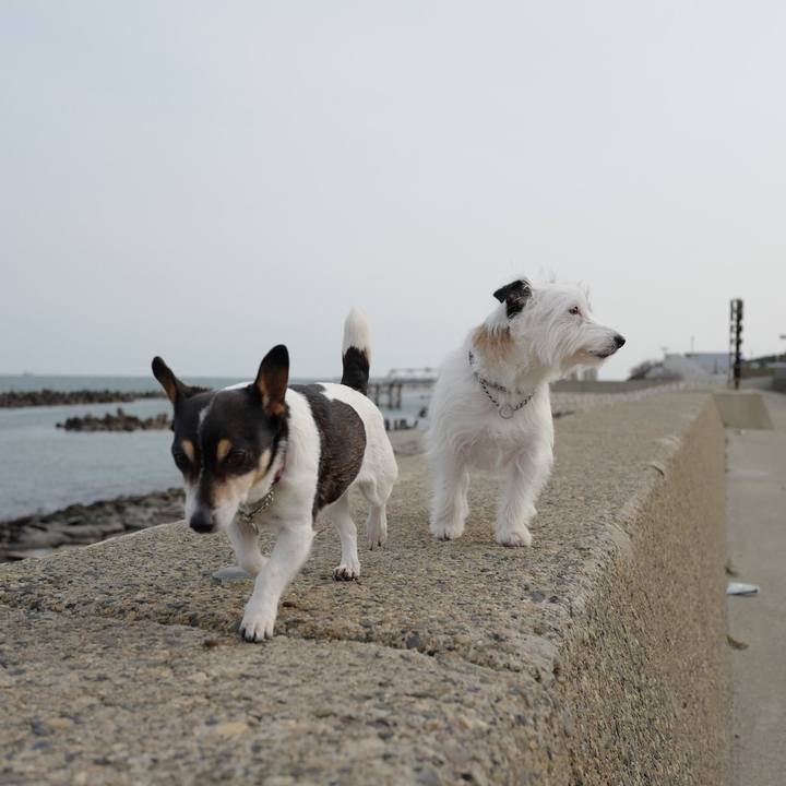 Cc4ccacf 3df8 4821 8458 d758fc266098 1553921567939