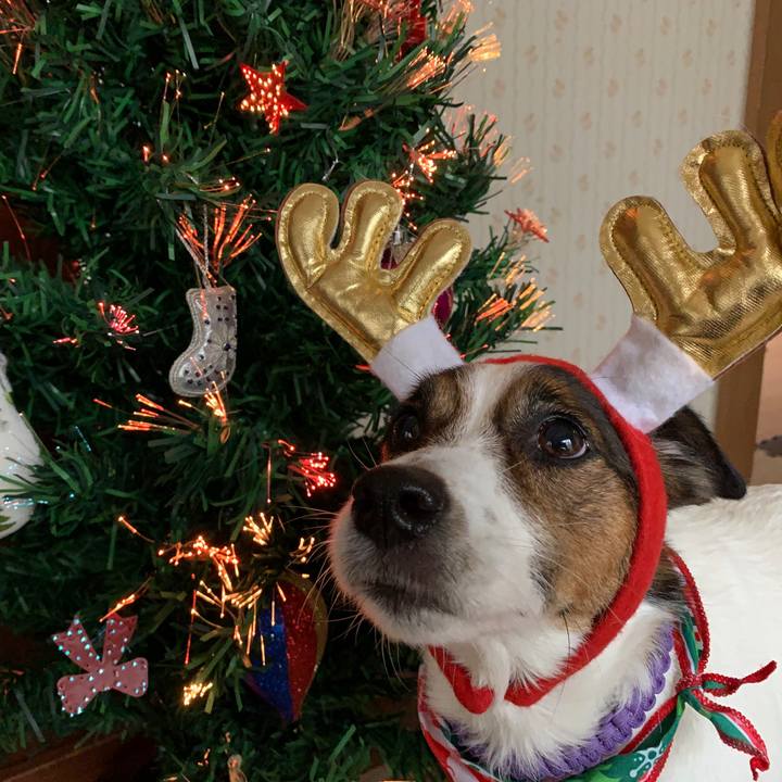 Cc4d18d5 967a 4f8f 99a3 7b7b4a165a2e 1576990989624