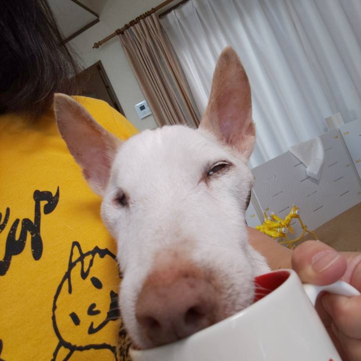 Cc4d2178 1650 43a7 b265 51fe0735b4cb 1598833884436