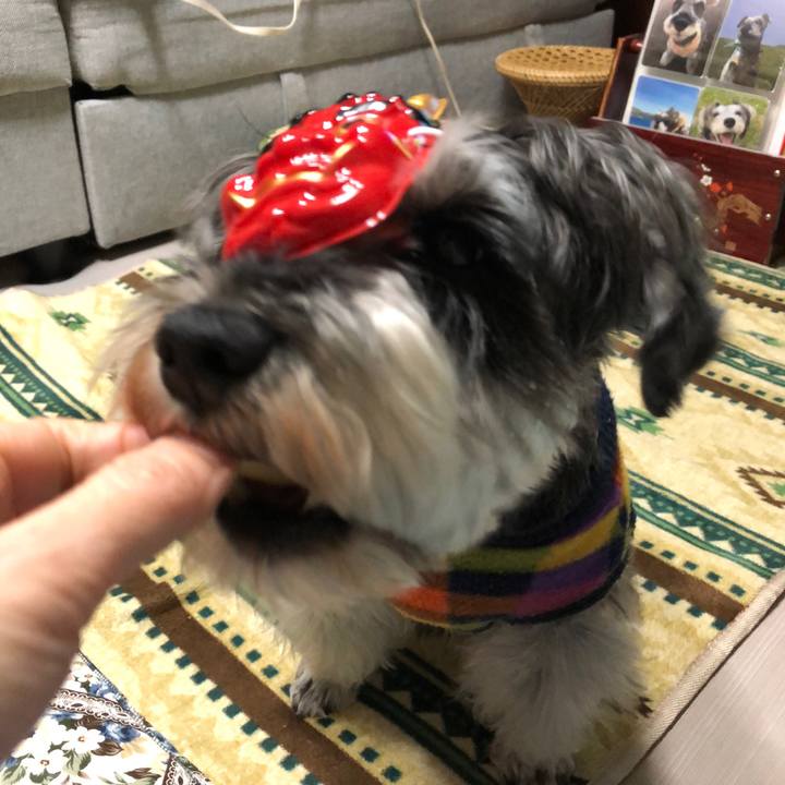 Cc4d31e0 f415 434a b074 d27ba52ae78a 1643898370319