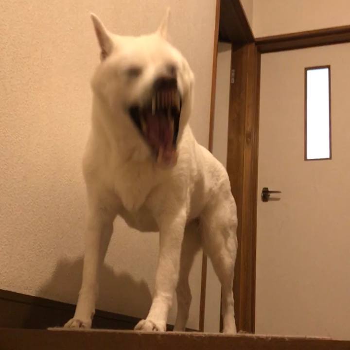 Cc4d3952 ee48 4f3c 99e7 cda7030762f0 1525151722267