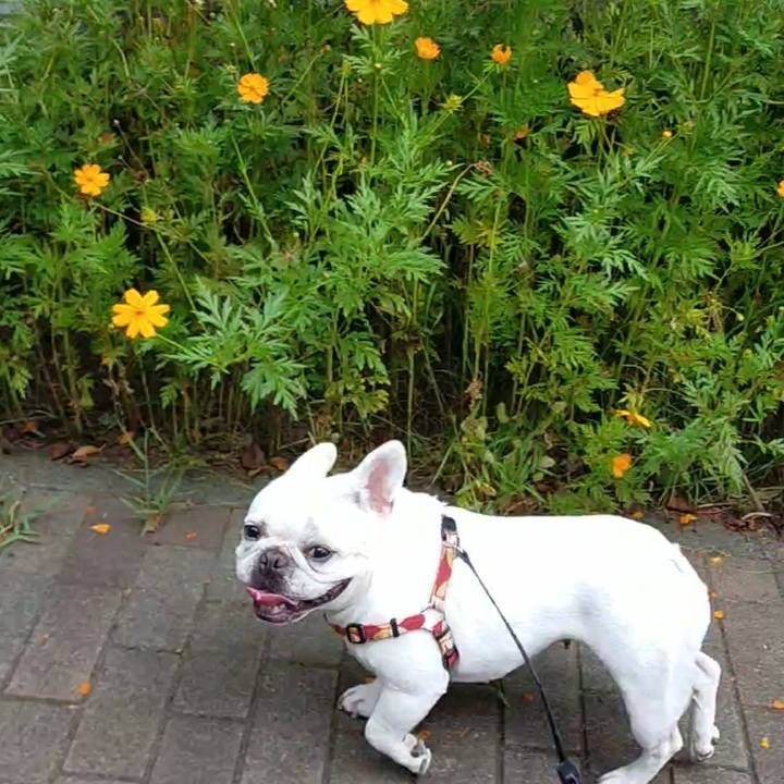 Cc4d4753 2764 433c 8aac c89798816488 1663197267770