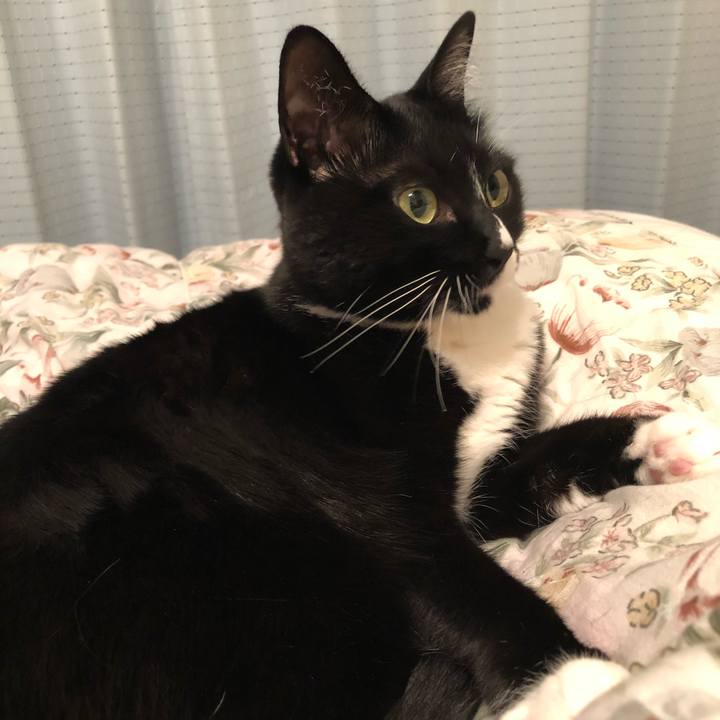 Cc4d599a 7e92 4600 bfd3 ea0695024a56 1516658959358