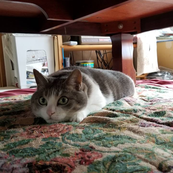 Cc4d6193 ec27 41fd 8329 7f1e411429a0 1591316776928