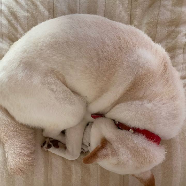 Cc4d69a8 6ada 4bb1 8ece 4935abe3eea0 1606878632321