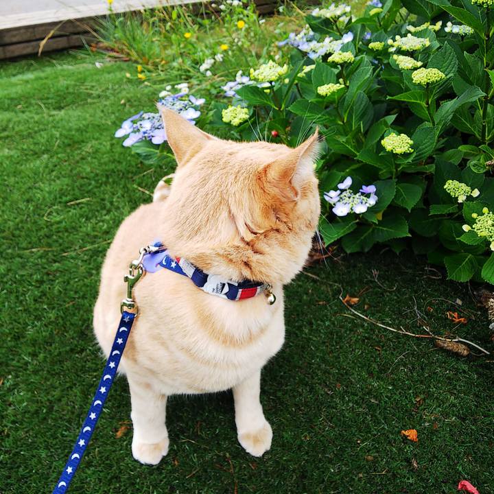 Cc4d7def f201 4409 86fc e7324f9a86fe 1562988072952