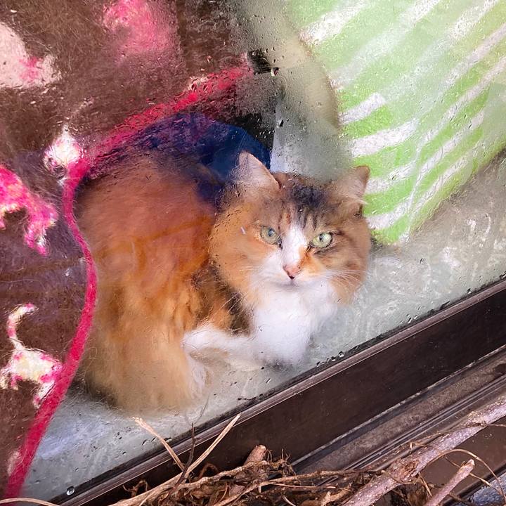 Cc4d90c8 d523 4100 a5ca a1f7c31712ea 1636274038110