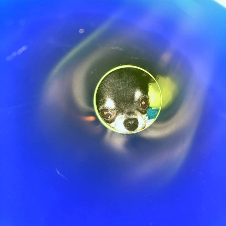 Cc4d9d0c 861a 4d77 ad5f ae076cb40426 1599864505460