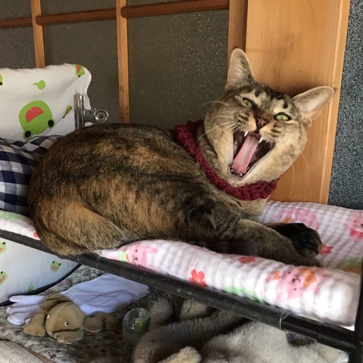 Cc4e56bd 1f71 4b53 a13b 1cf7d1ce69be 1614241288917