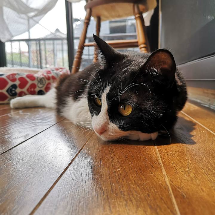 Cc4e7c38 74f7 4c21 af93 40a5860e98a3 1588415663301