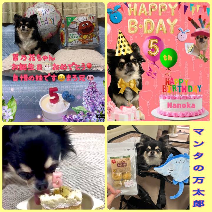 Cc4ea349 b258 44e4 967b 12fdcc276189 1686394929433