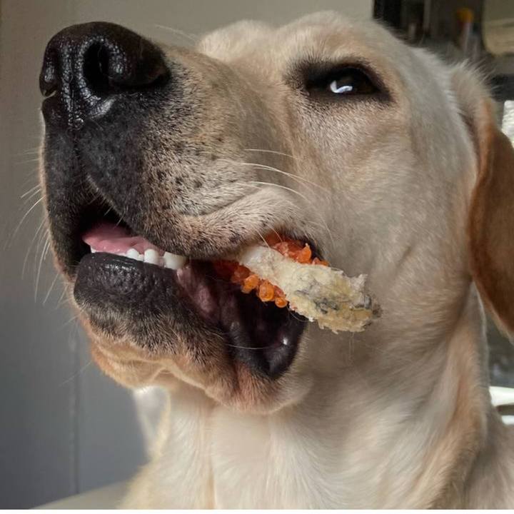 Cc4eaeaa 0efa 415b 86a2 31cfc7cdcbdf 1672915040889